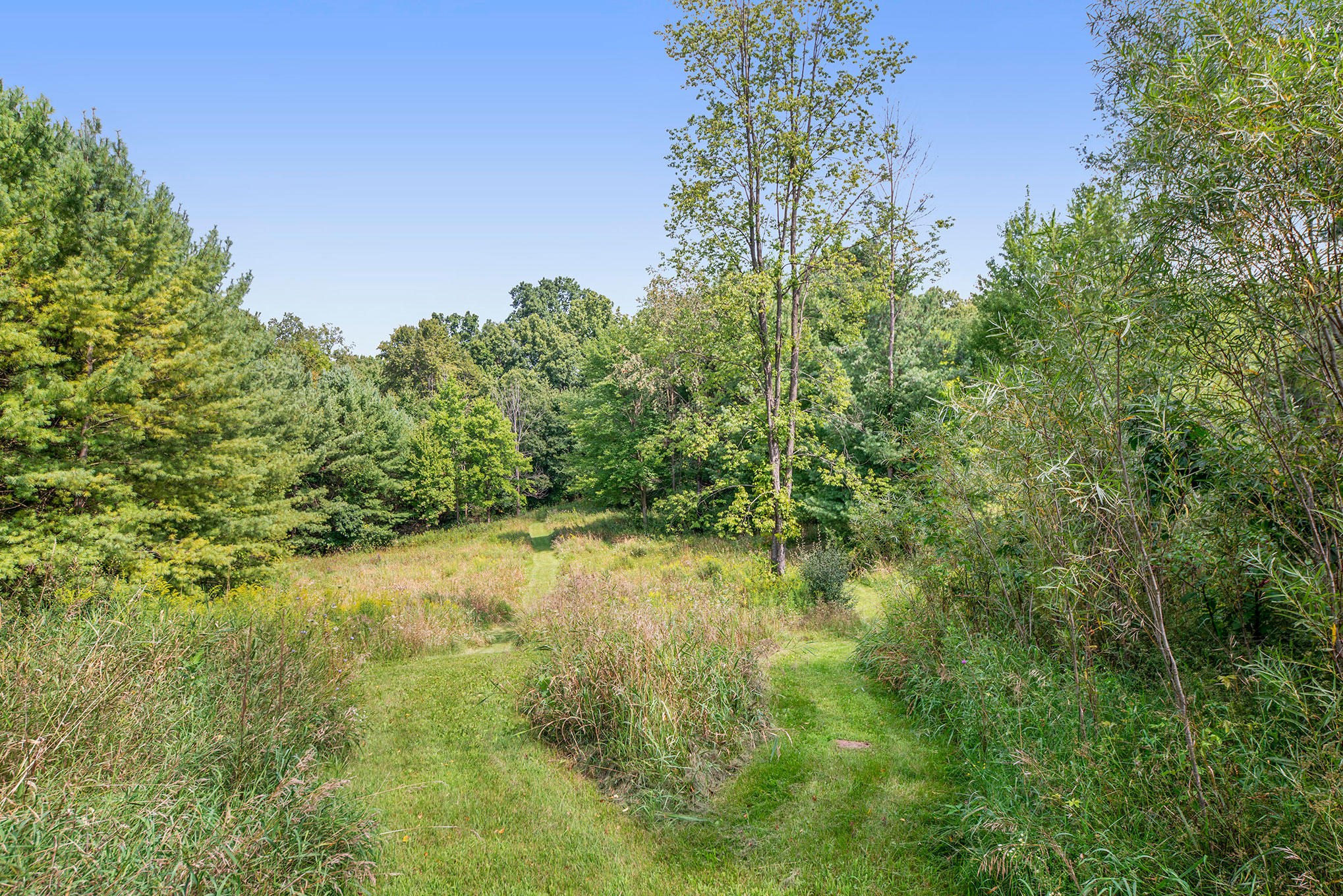 6809 2 Mile Road Northeast Ada, MI 49301 - Photo 37 of 53 6809-2MileRd-53