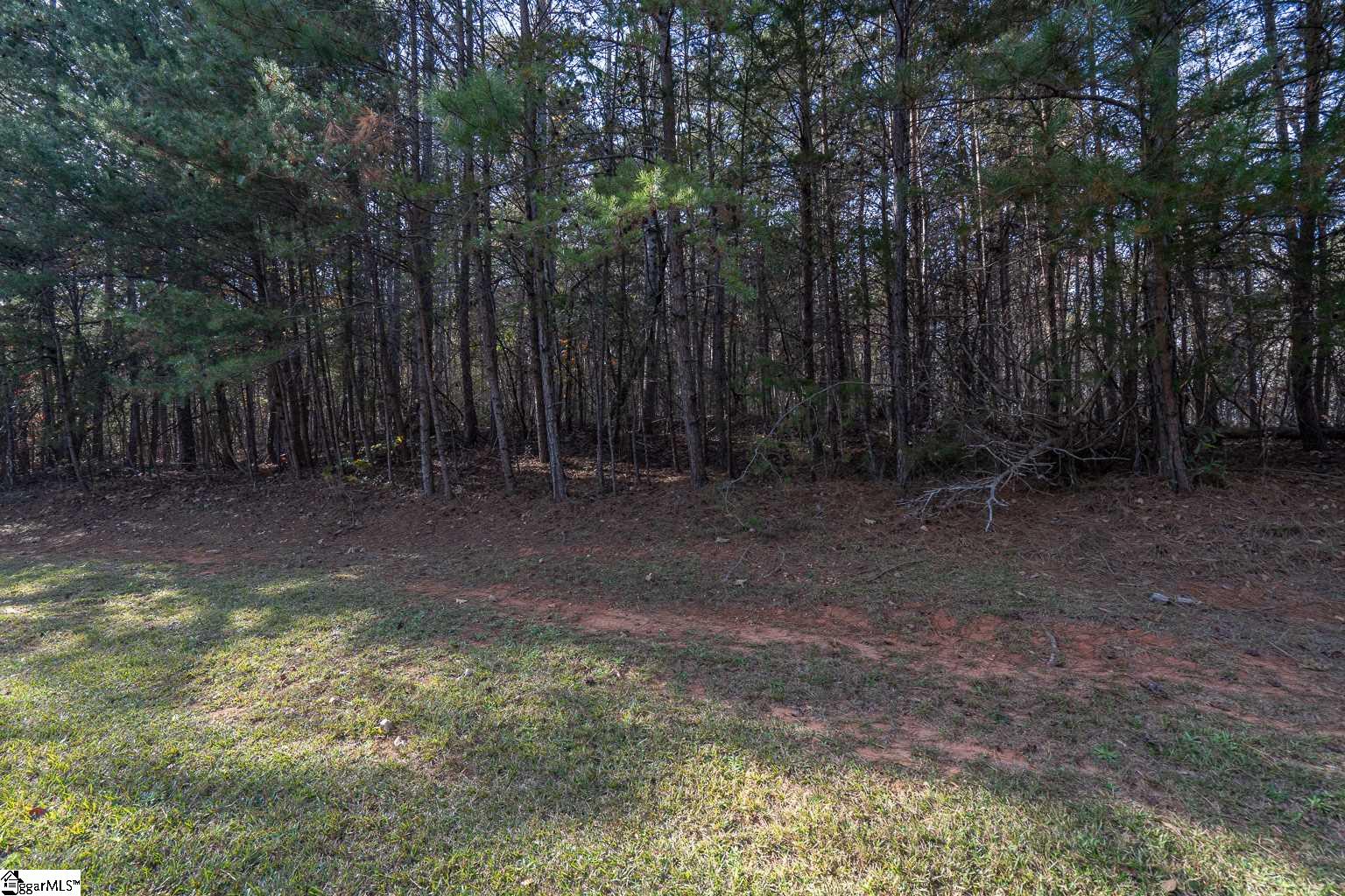 Overlook Drive Fair Play, SC 29643 - Photo 11 of 14