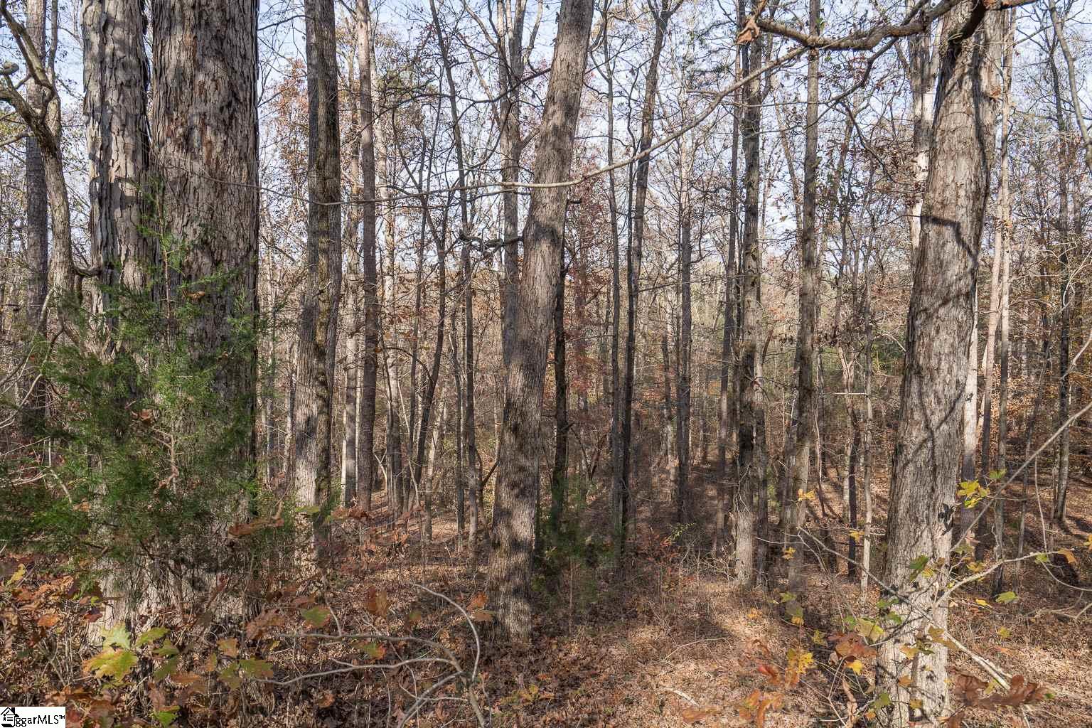 Overlook Drive Fair Play, SC 29643 - Photo 14 of 14