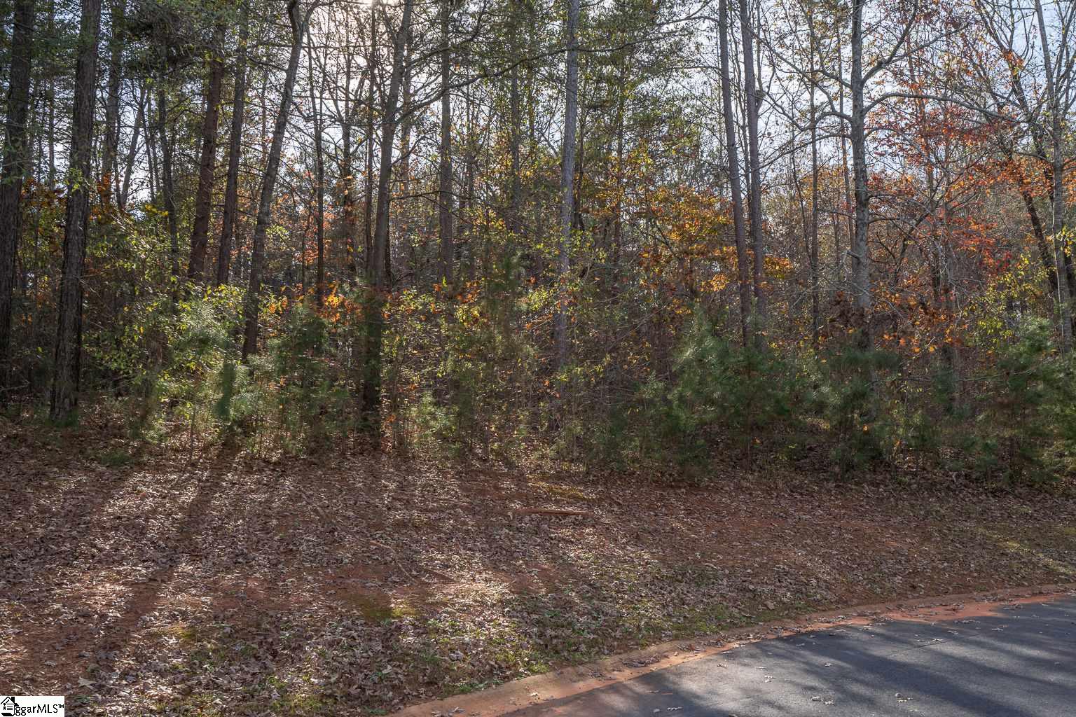 Overlook Drive Fair Play, SC 29643 - Photo 8 of 14