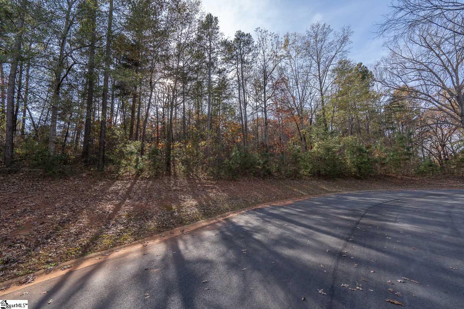 Overlook Drive Fair Play, SC 29643 - Photo 9 of 14