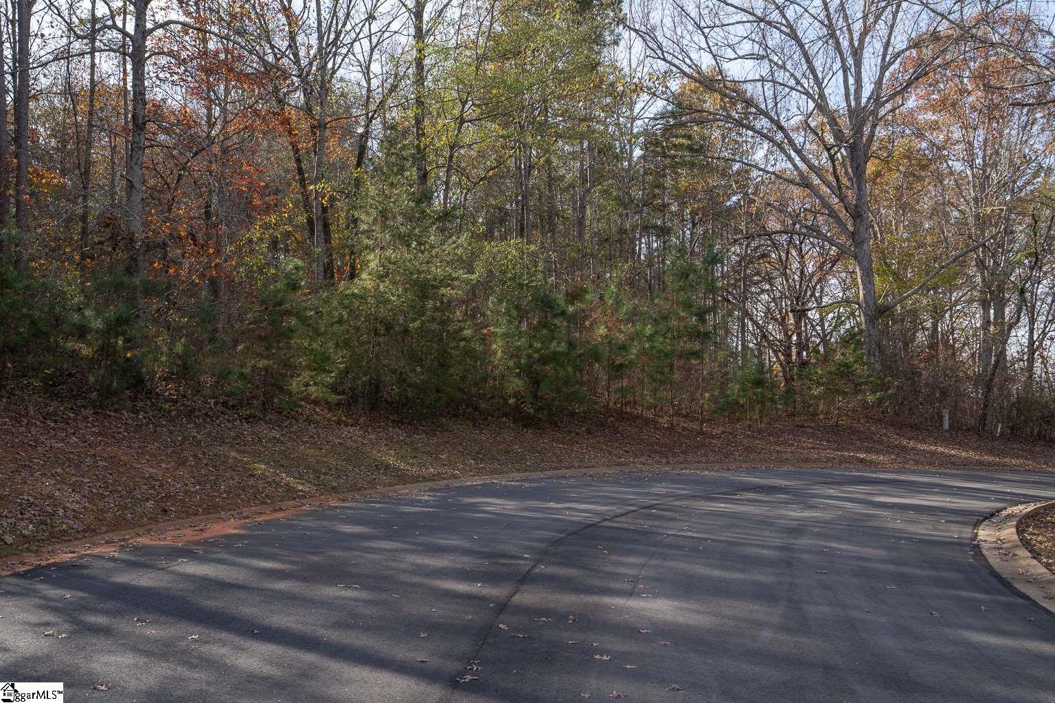 Overlook Drive Fair Play, SC 29643 - Photo 10 of 14