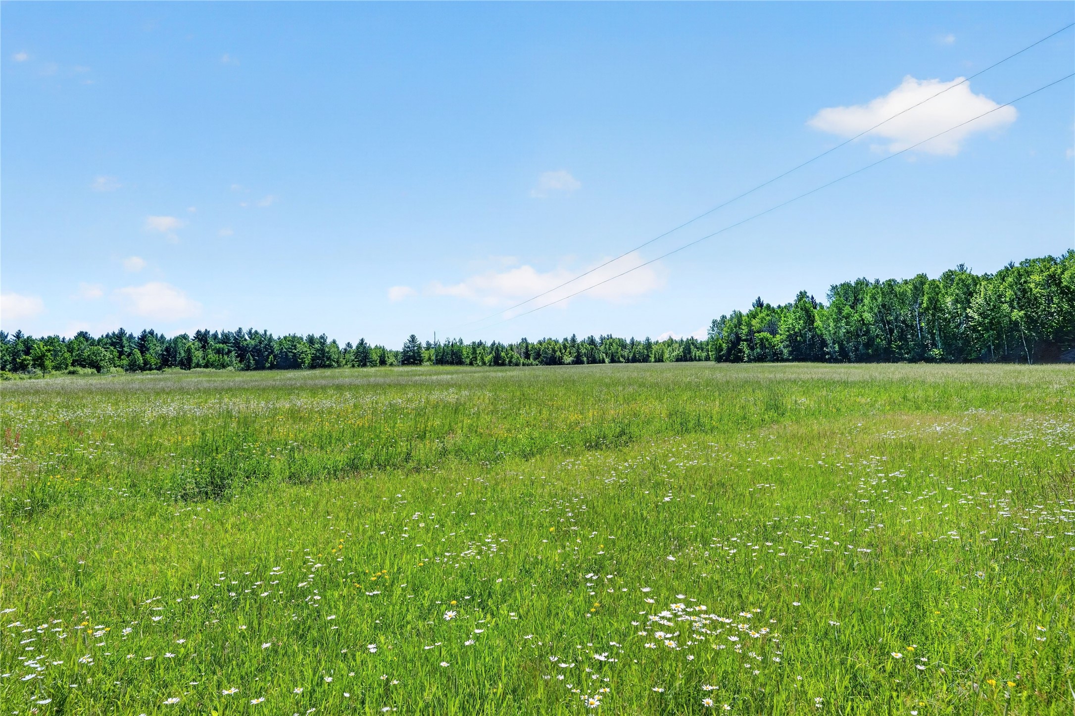 68479 County Highway High Bridge, WI 54846 - Photo 41 of 58