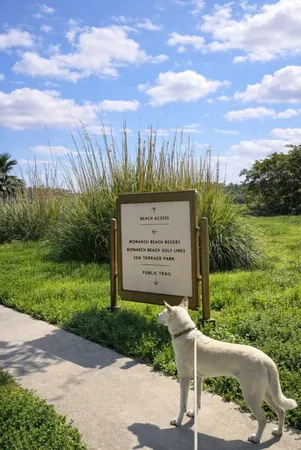 $15,000 | 12 Via Corsica, Dana Point, CA 92629