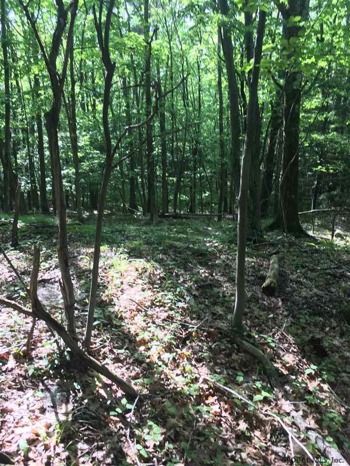 199 Foster Road Grafton, NY 12052 - Photo 13 of 15 Photo 15