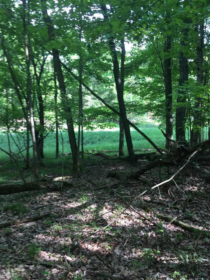 199 Foster Road Grafton, NY 12052 - Photo 3 of 15 Photo 3
