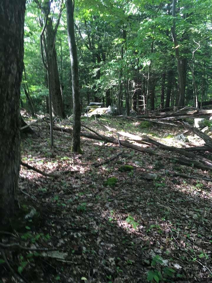 199 Foster Road Grafton, NY 12052 - Photo 8 of 15 Photo 9