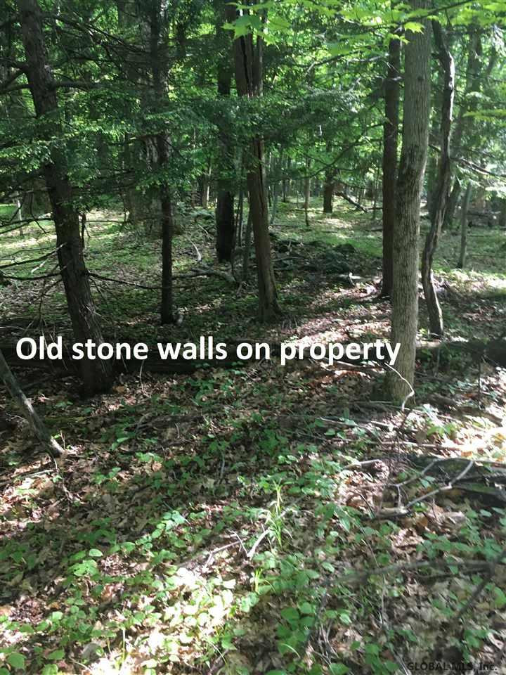 199 Foster Road Grafton, NY 12052 - Photo 9 of 15 Photo 10