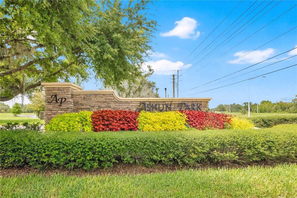 11468 Misty Oak Alley Windermere, FL 34786 - Photo 33 of 33