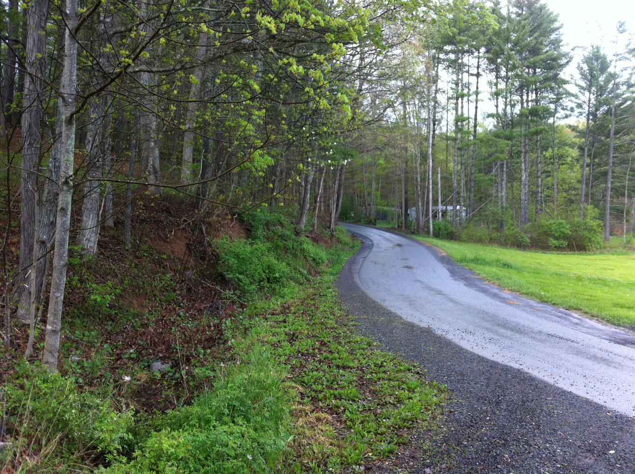7 Devils Hollow Road Gap Mills, WV 24941 - Photo 41 of 48 Gallery Image 41