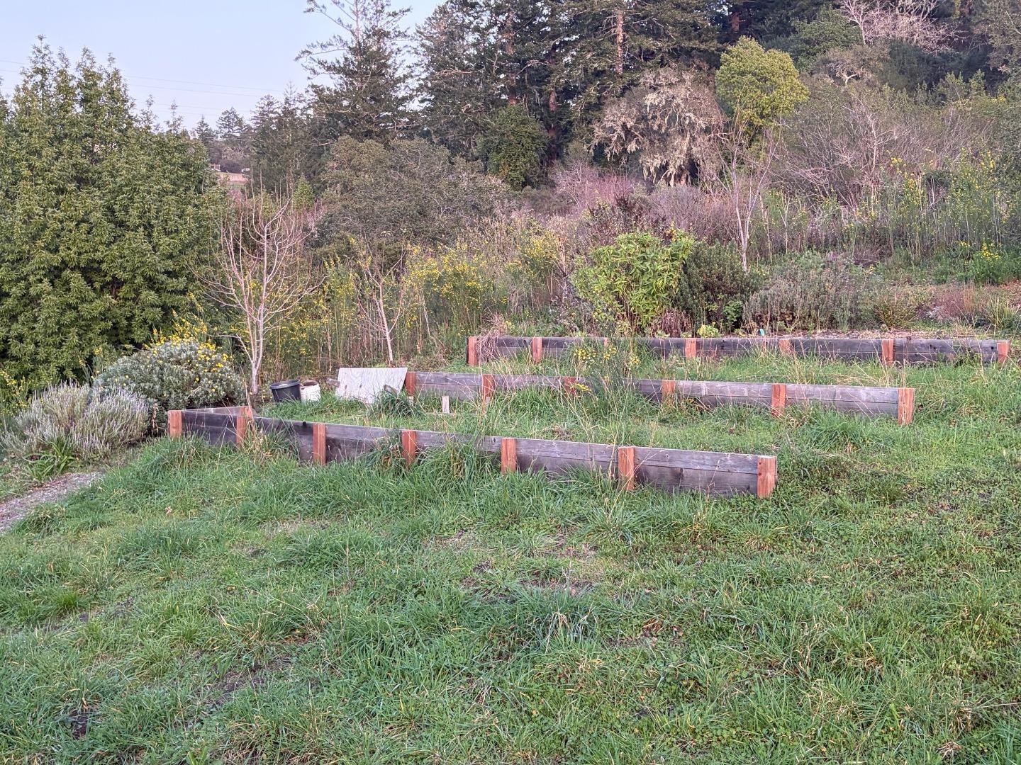 11100 La Honda Road Woodside, CA 94062 - Photo 22 of 32