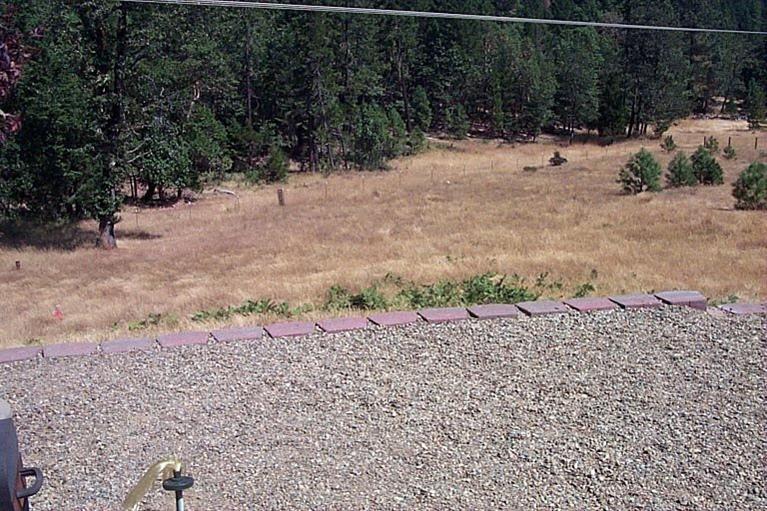5075 West Side Road Cave Junction, OR 97523 - Photo 8 of 22 Lower field