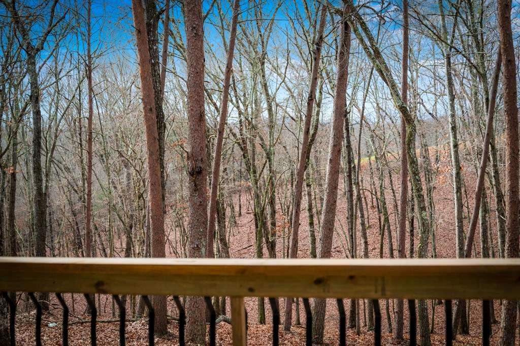 2393 Ada Street Blue Ridge, GA 30513 - Photo 3 of 56 a view of a wooden fence