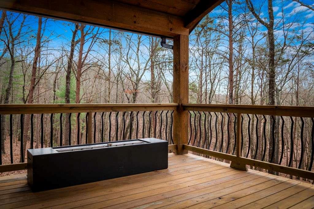 2393 Ada Street Blue Ridge, GA 30513 - Photo 41 of 56