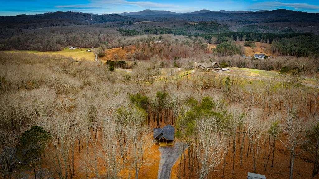 2393 Ada Street Blue Ridge, GA 30513 - Photo 46 of 56 a view of lake with a yard