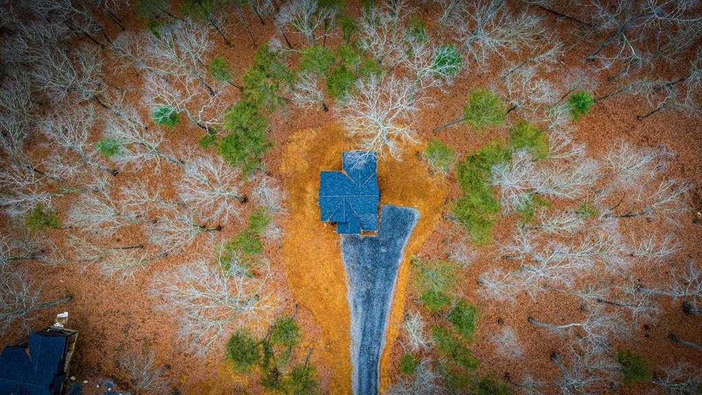 2393 Ada Street Blue Ridge, GA 30513 - Photo 56 of 56 a view of a yard with plants