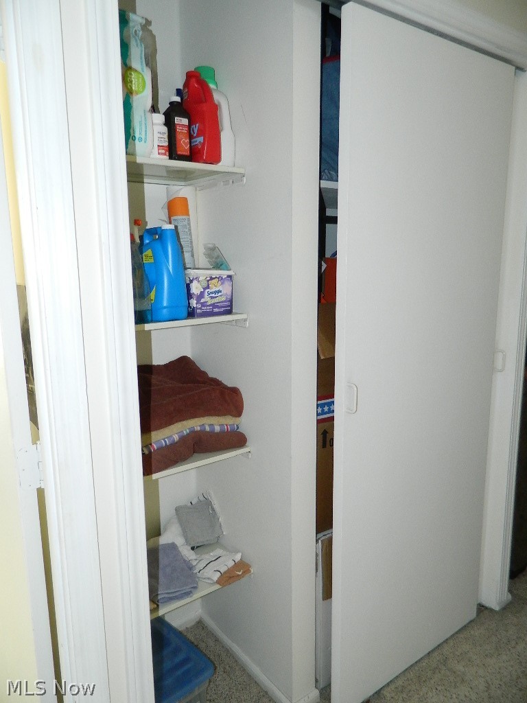 7385 Fox Mill Road, Unit 32B Mentor, OH 44060 - Photo 14 of 17 Hall Linen and Coat Closet
