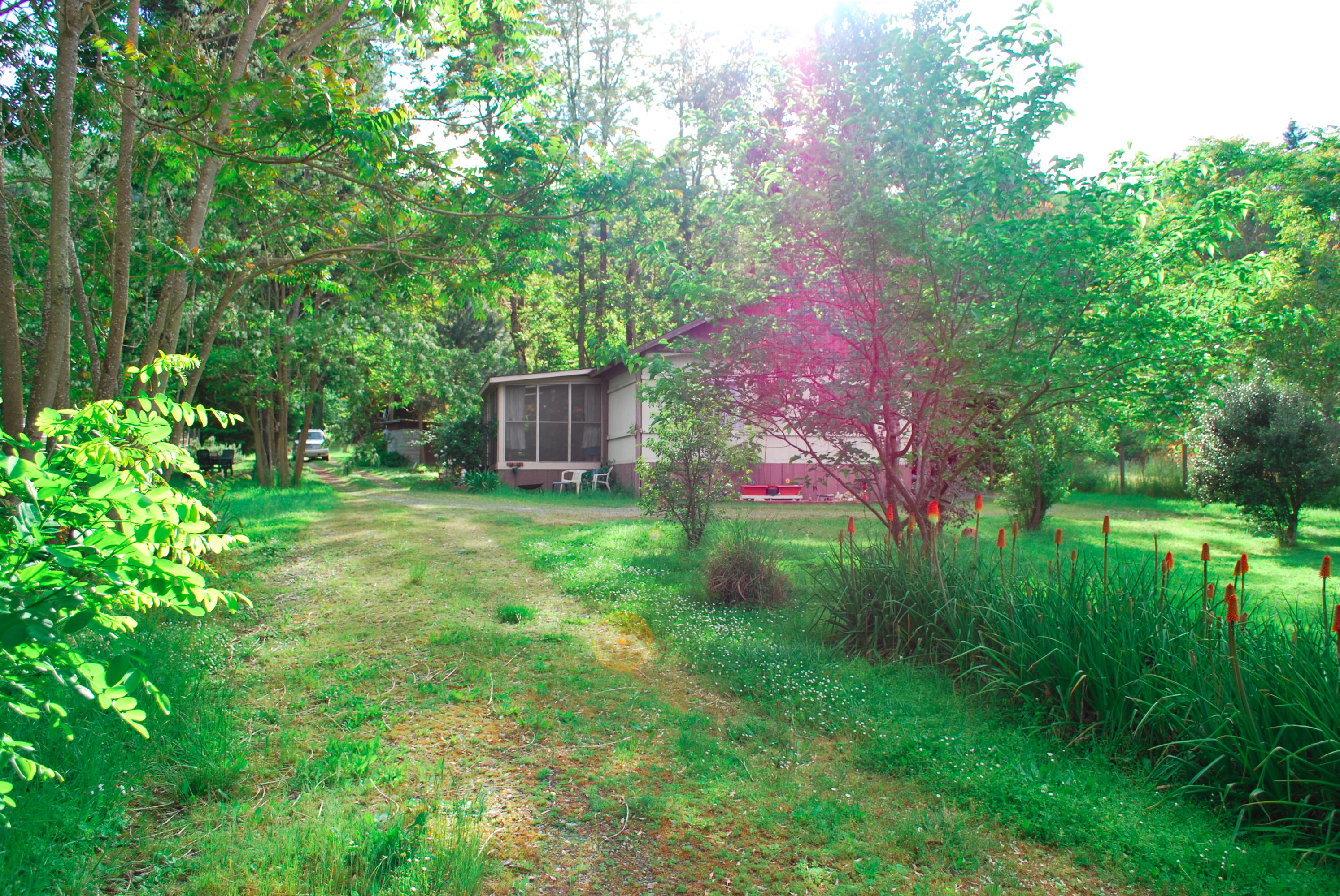 56 Pine Creek Road Hoopa, CA 95546 - Photo 3 of 6