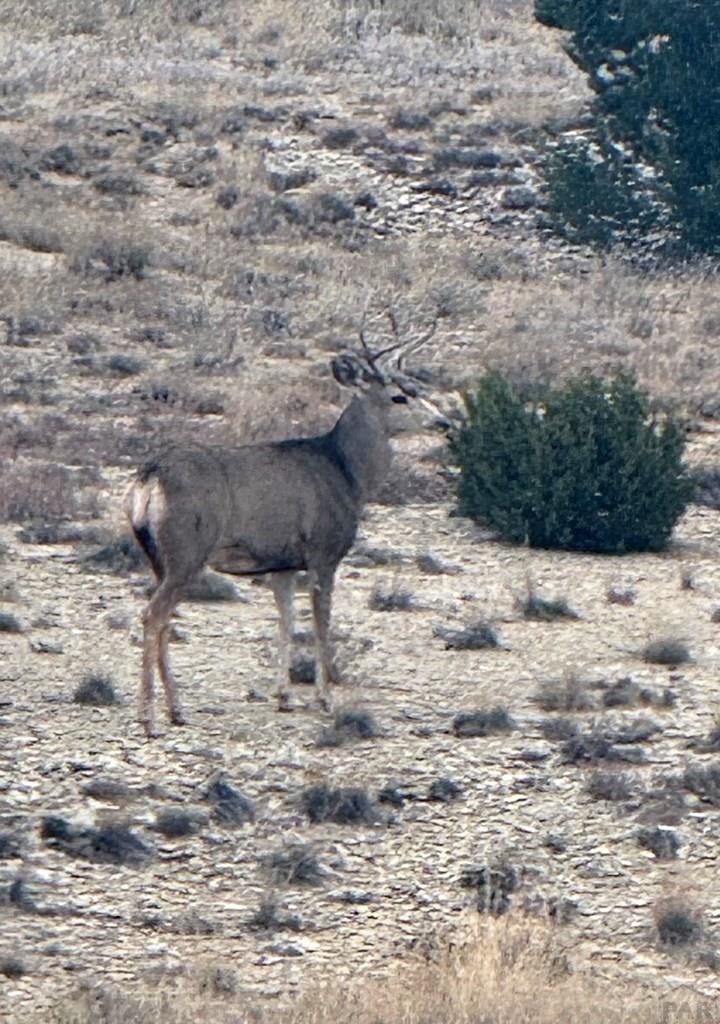 Tbd Claymine Road Rye, CO 81069 - Photo 53 of 56