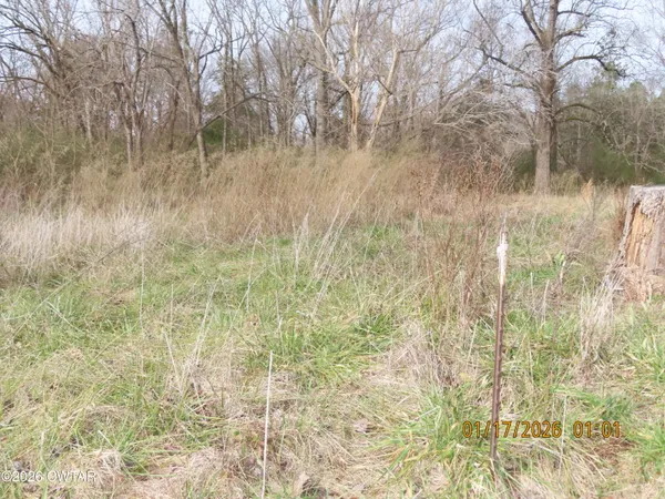 a view of a yard