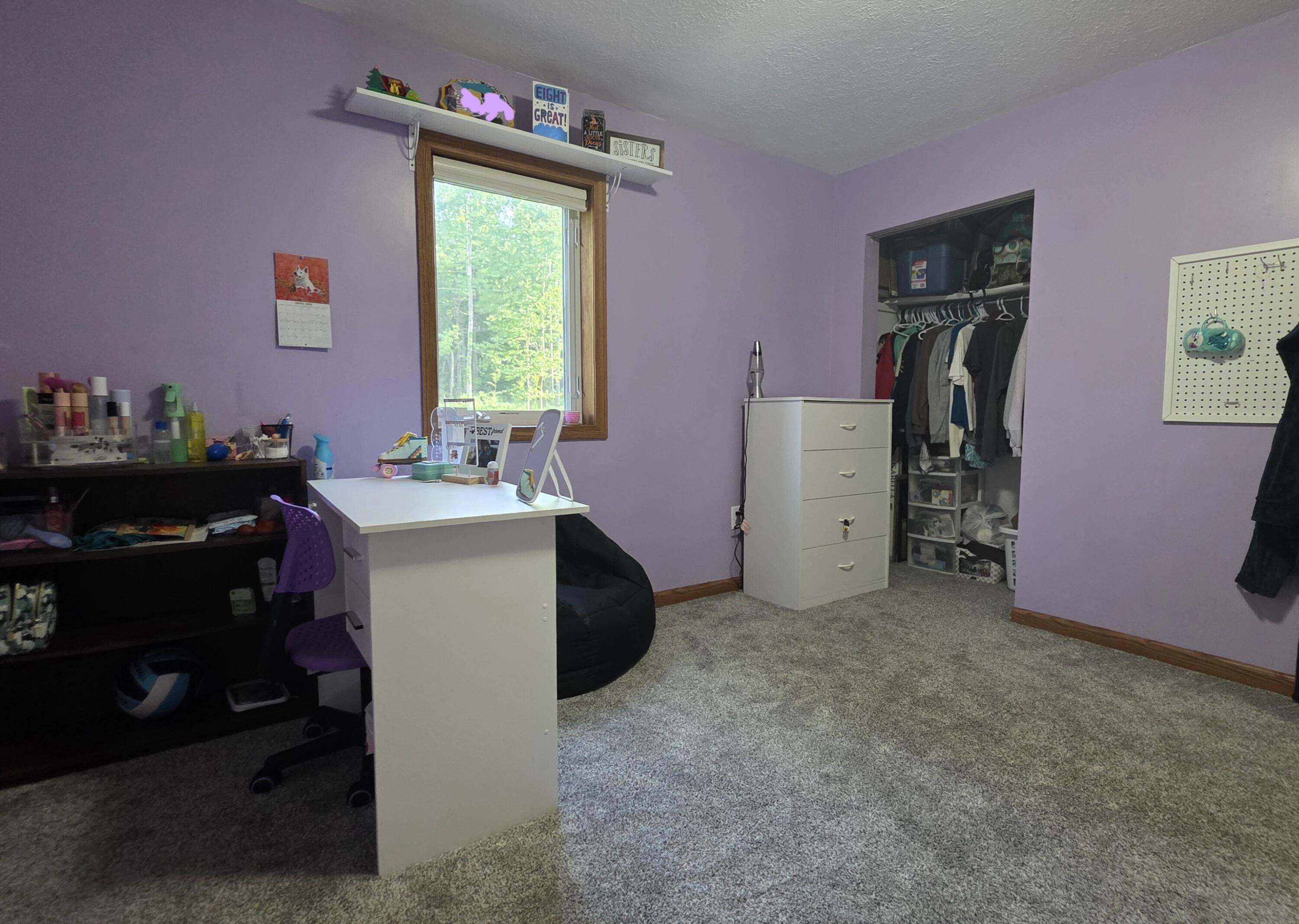 2790 West Wing Road Mount Pleasant, MI 48858 - Photo 38 of 54 20260604_184857