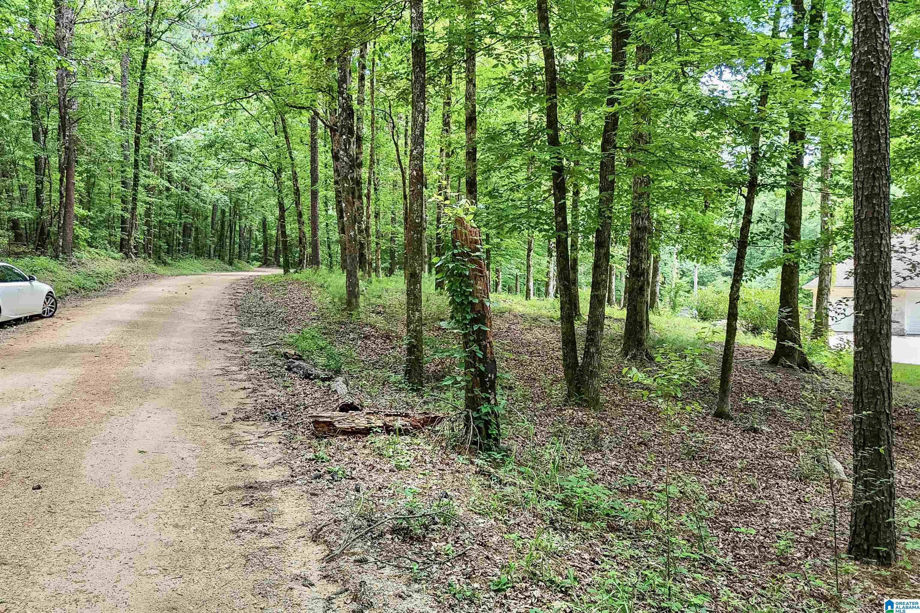 0 Red Oak Circle Helena, AL 35080 - Photo 10 of 21