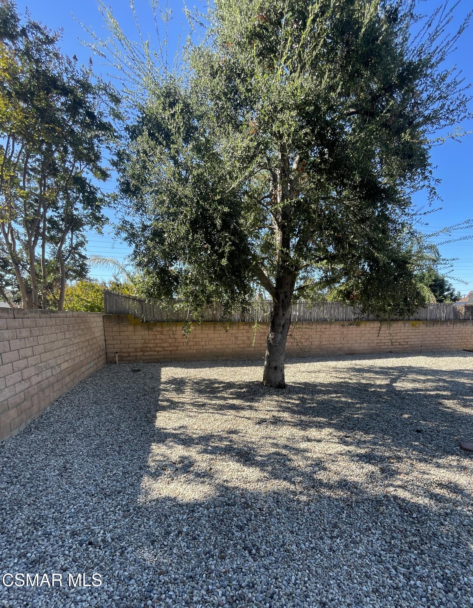 4139 Cochran Street Simi Valley, CA 93063 - Photo 18 of 21 a view of a yard with large trees