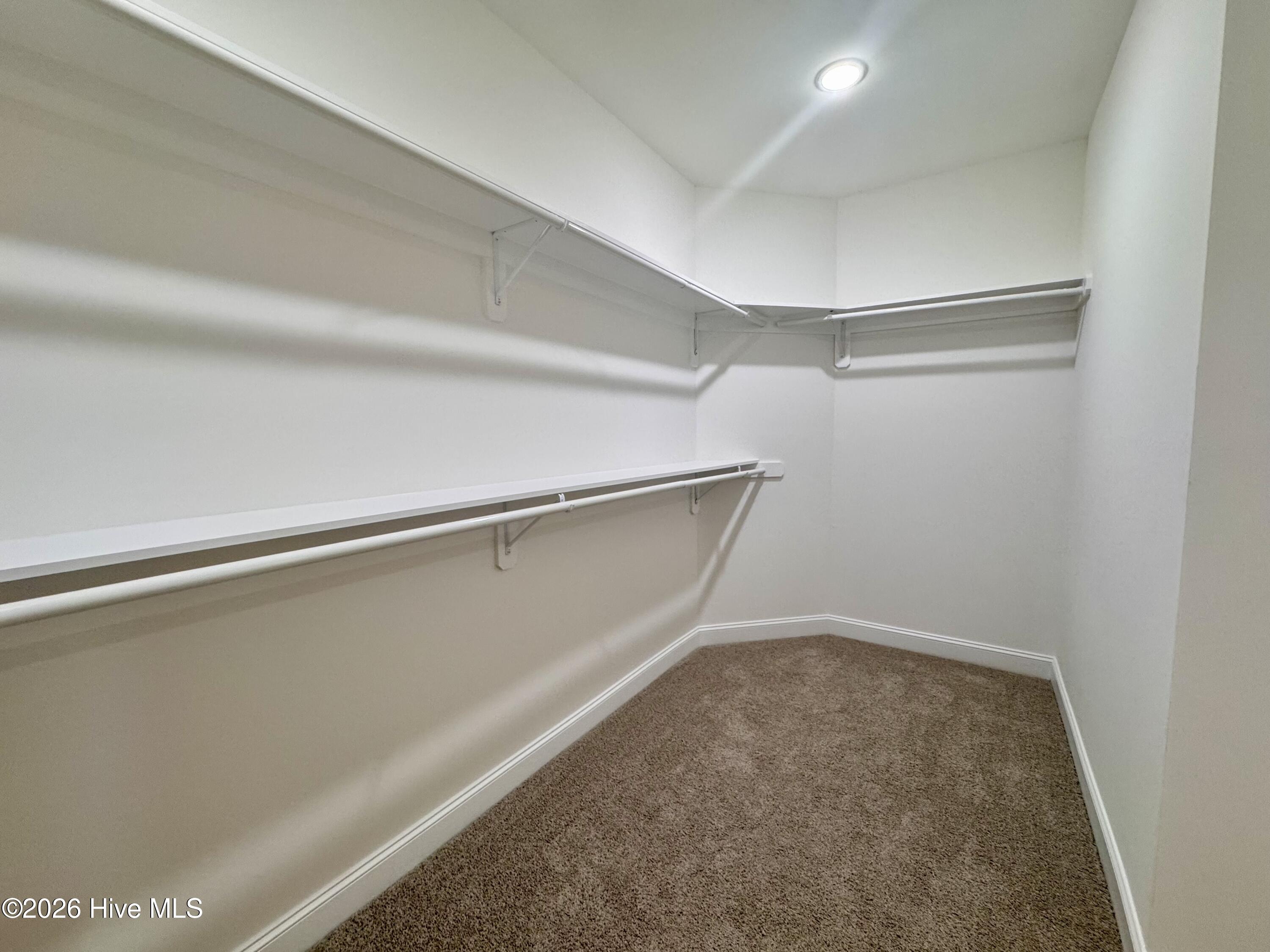 4142 Dixon Road Grimesland, NC 27837 - Photo 31 of 41 primary closet
