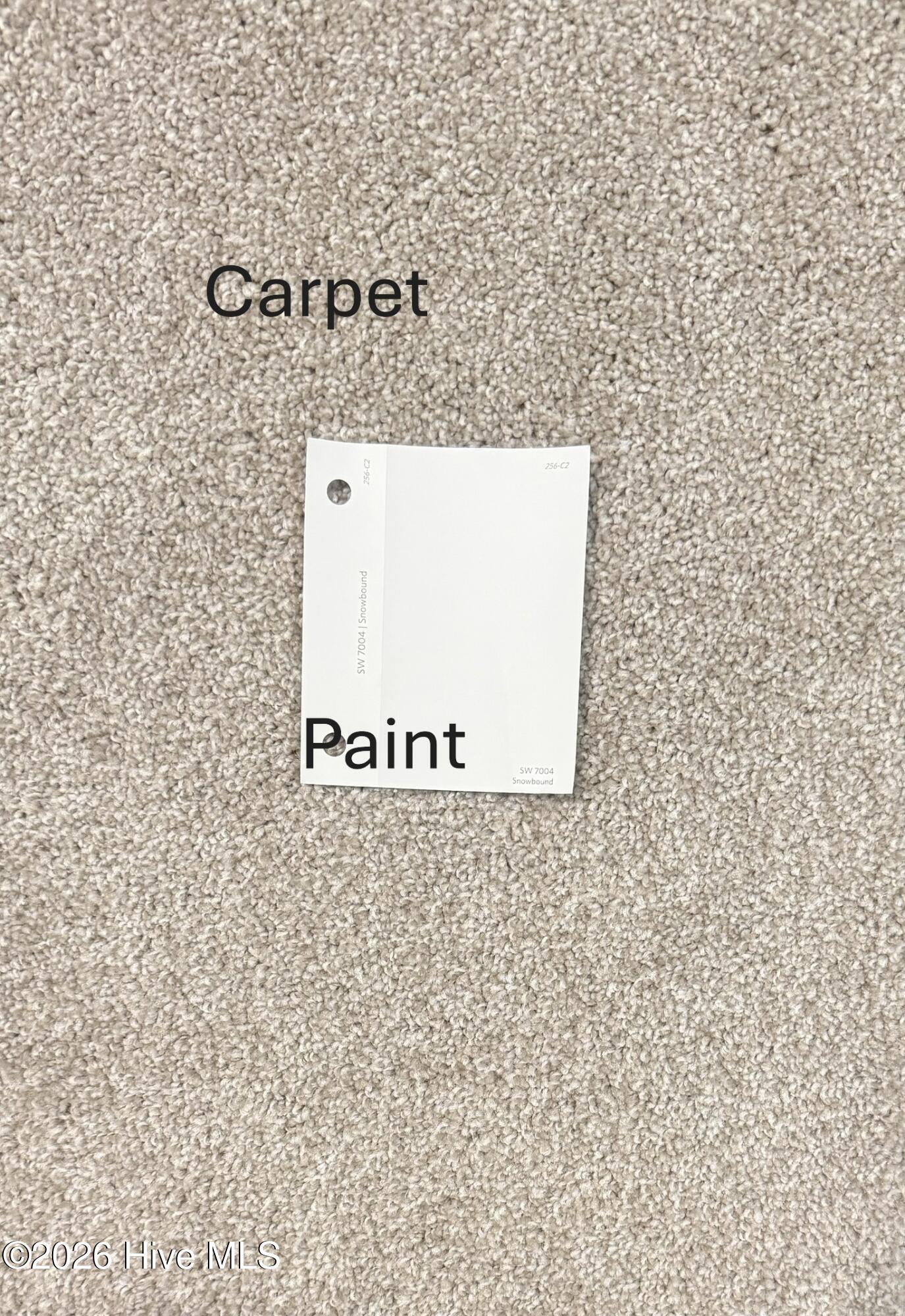 257 Laborde Lane Raeford, NC 28376 - Photo 5 of 6 SL61 Carpet & Paint