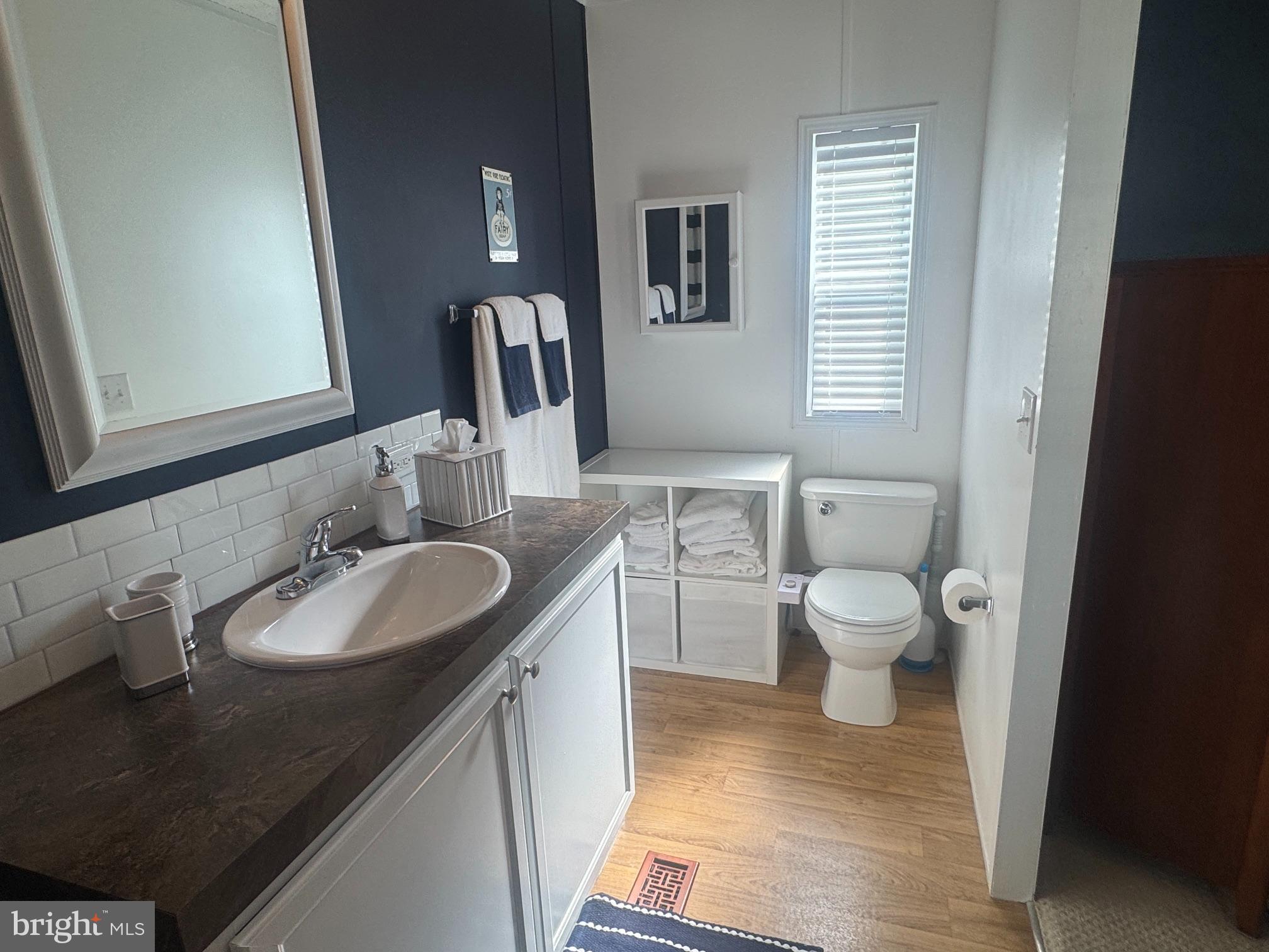 31623 Siham Road Lewes, DE 19958 - Photo 7 of 14 Owner Bath