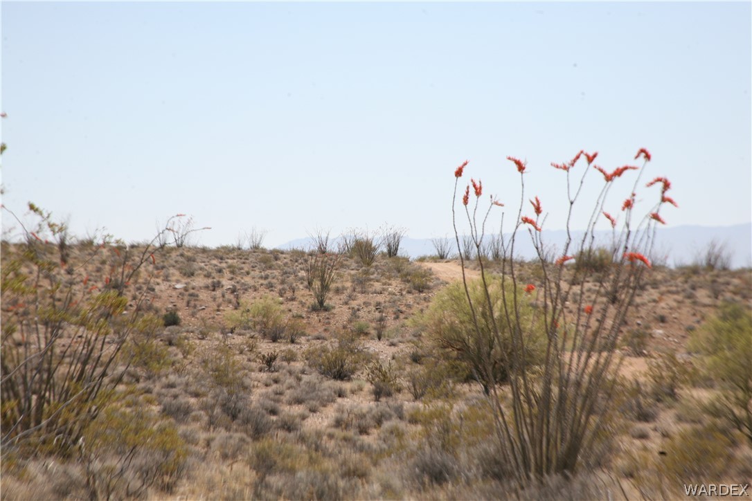 245-24-067a Lorton Road Yucca, AZ 86438 - Photo 15 of 42