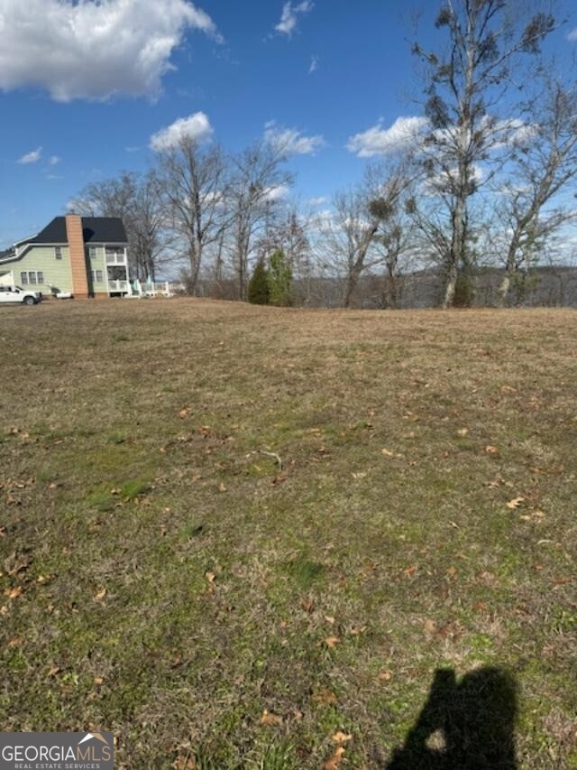 Lot 3 County Rd 531, Unit LOT 3 Centre, AL 35960 - Photo 3 of 3 a view of open space with yard
