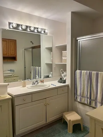 a bathroom with a sink and a toilet