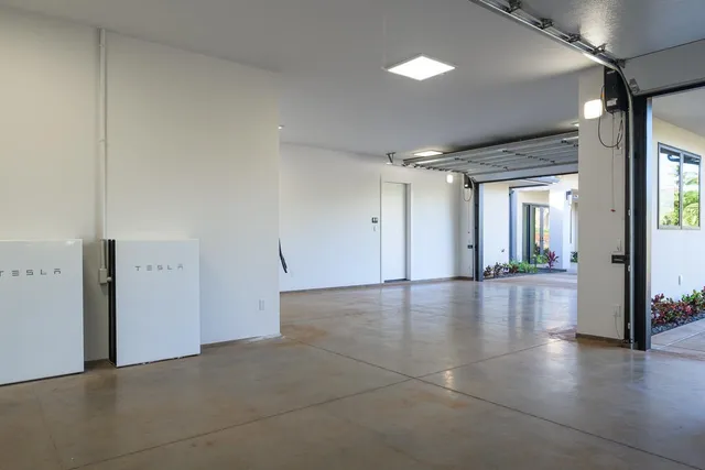a backyard with potted plants and a large tree