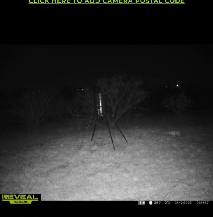 1227 Alexander Road Moody, TX 76557 - Photo 63 of 66