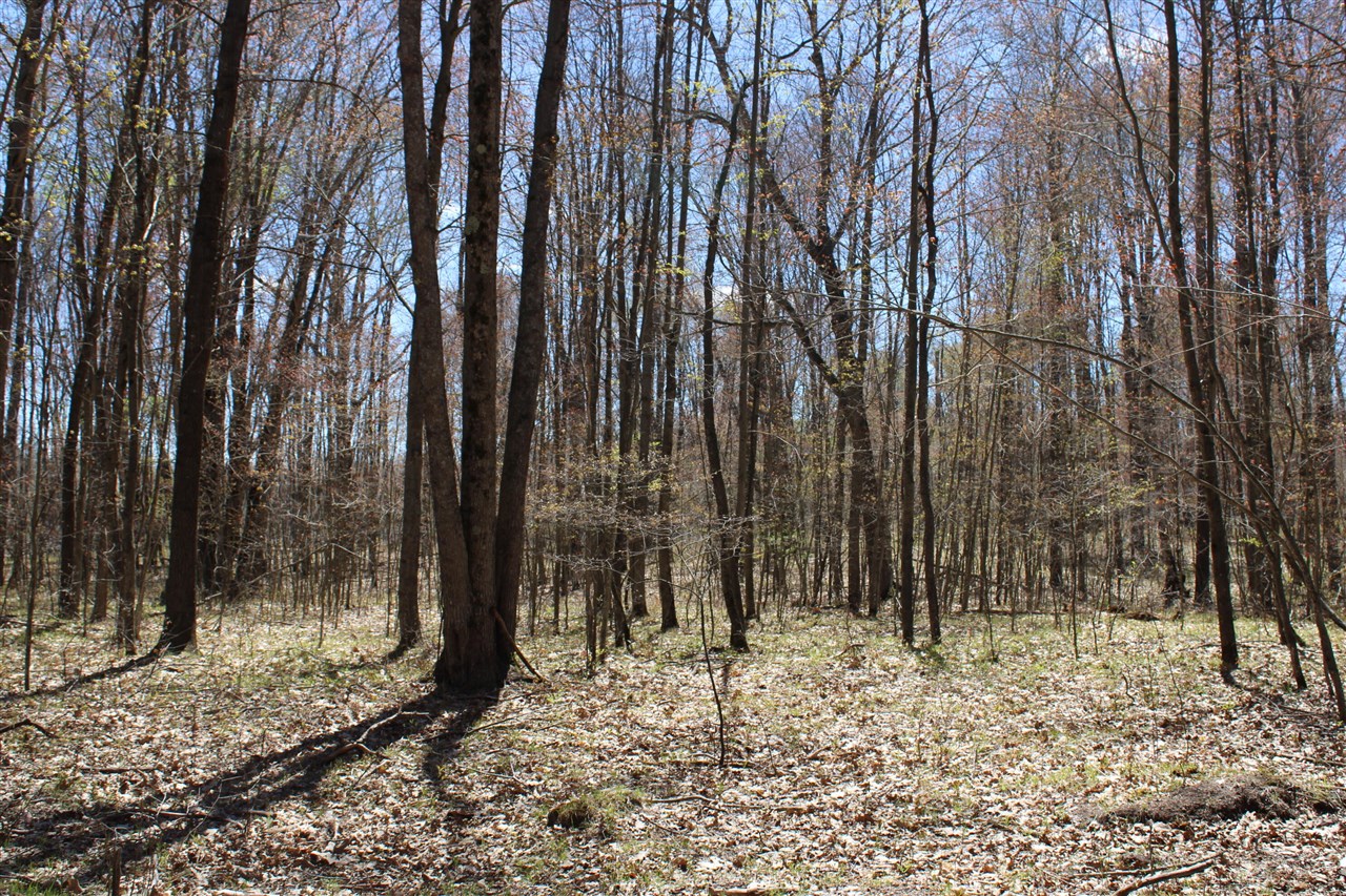 11401 Little George Lake Road Gladwin, MI 48624 - Photo 50 of 72