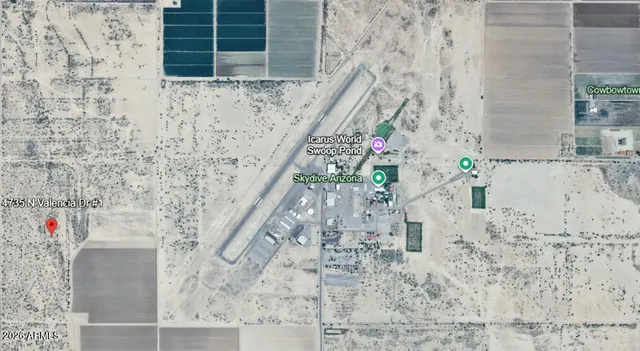 a view of small pond with lots of plants