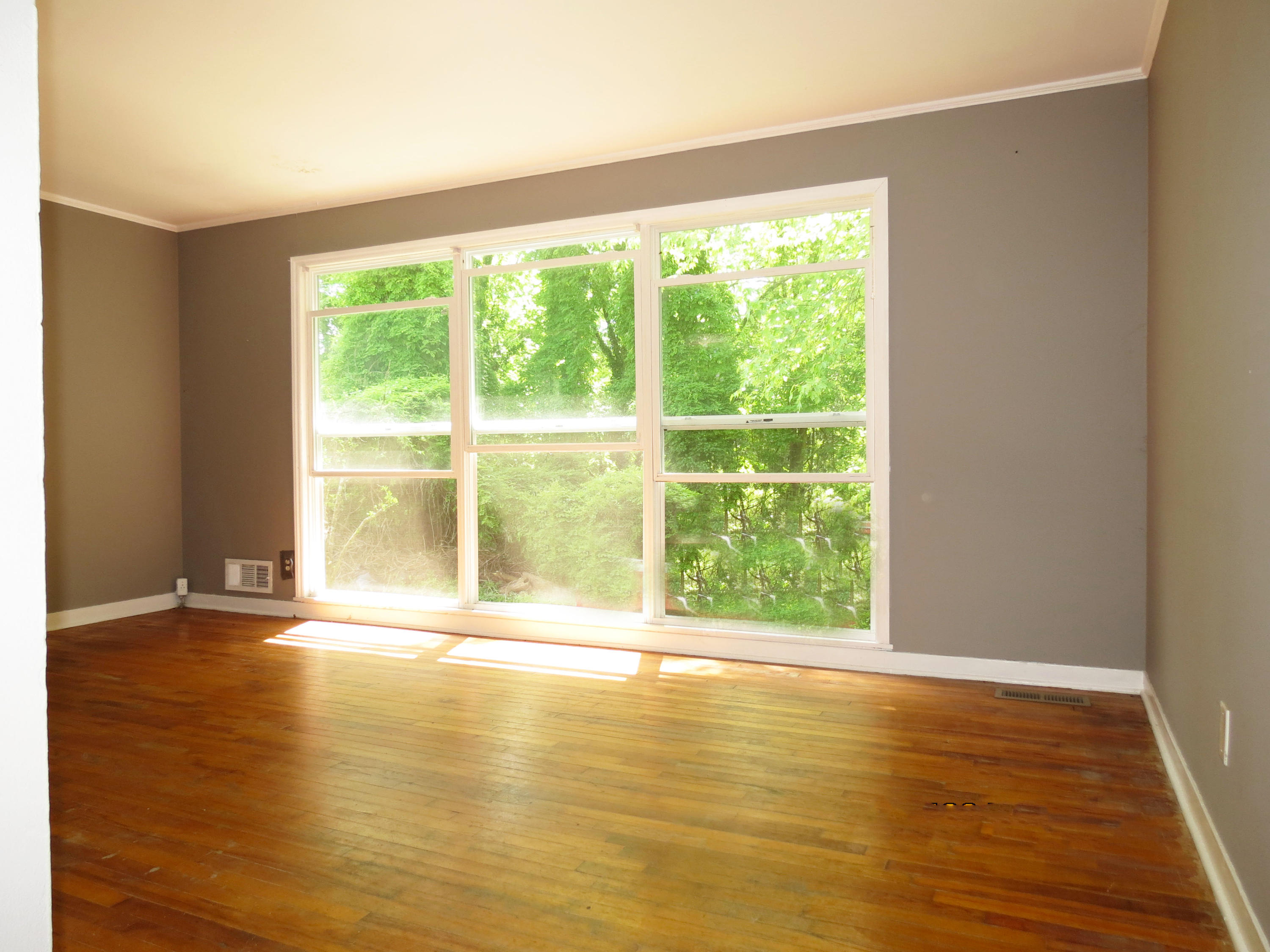 107 Audubon Road Oak Ridge, TN 37830 - Photo 11 of 19 Audubon 16jg