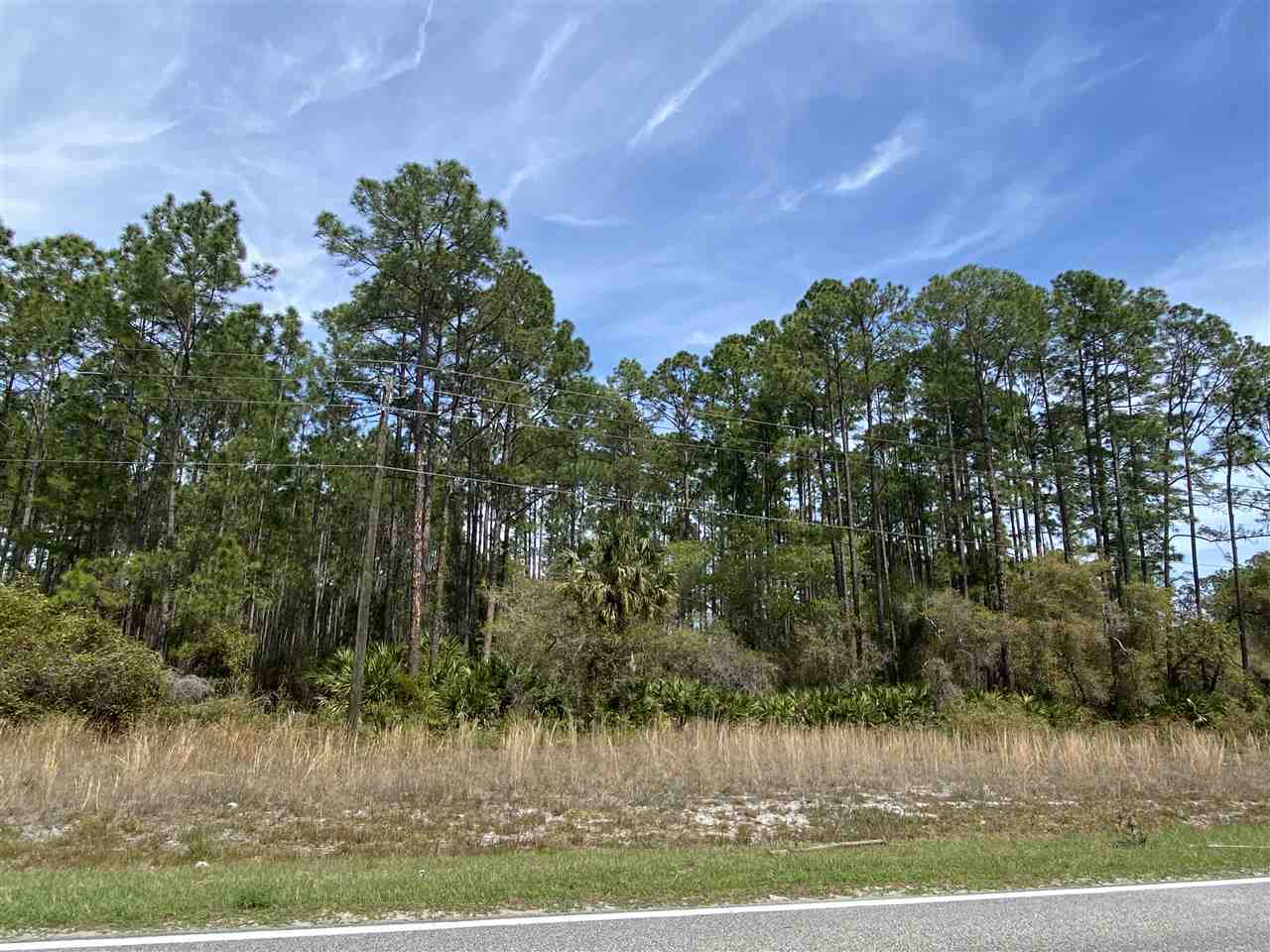 350 Georgetown Denver Road Georgetown, FL 32139 - Photo 1 of 5 Gallery Image 1