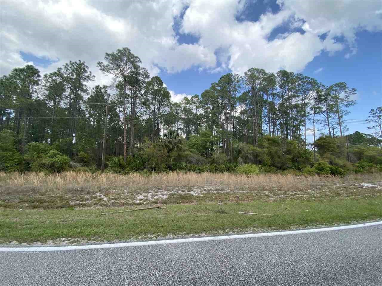 350 Georgetown Denver Road Georgetown, FL 32139 - Photo 2 of 5 Gallery Image 2