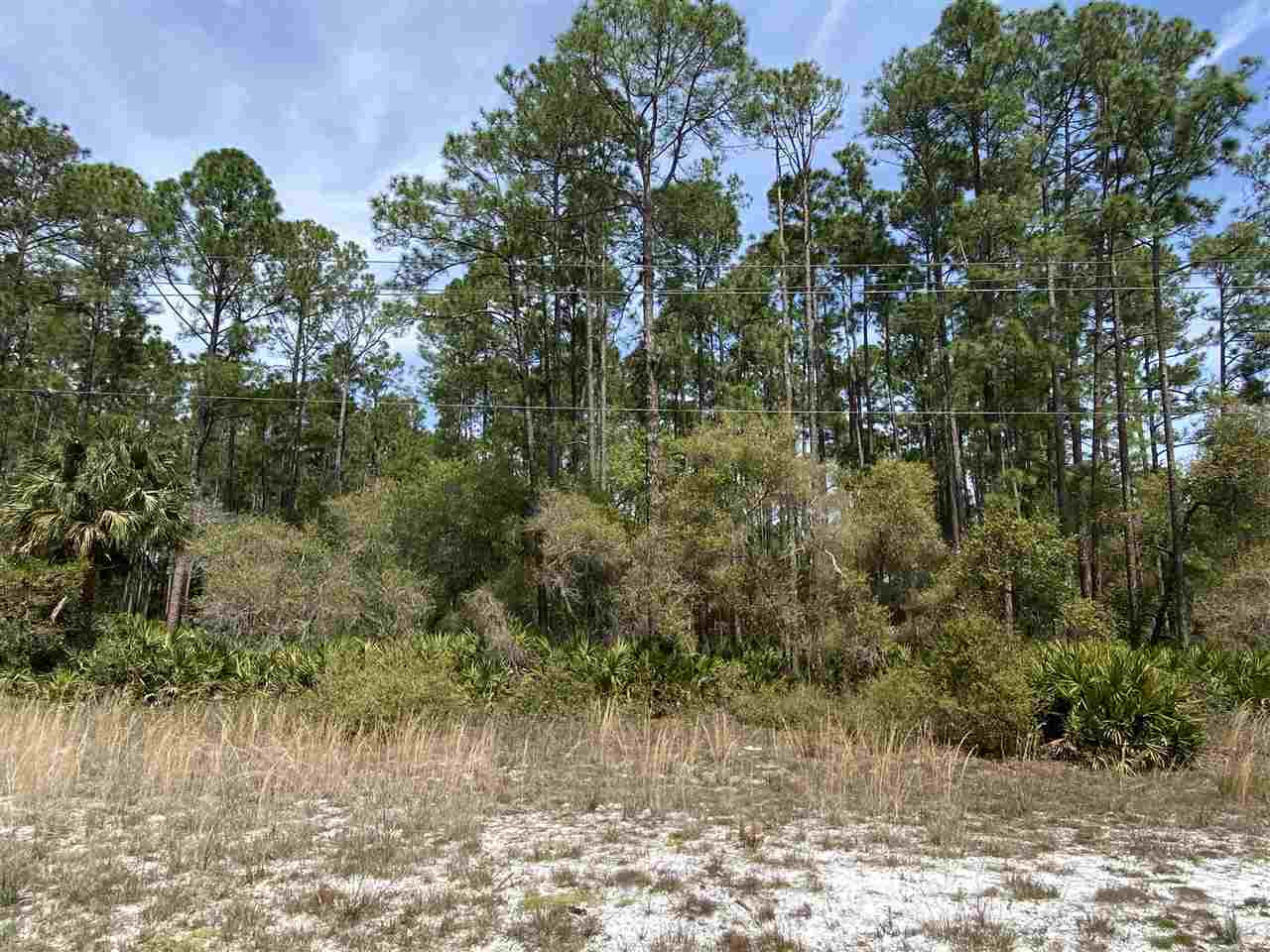 350 Georgetown Denver Road Georgetown, FL 32139 - Photo 3 of 5 Gallery Image 3