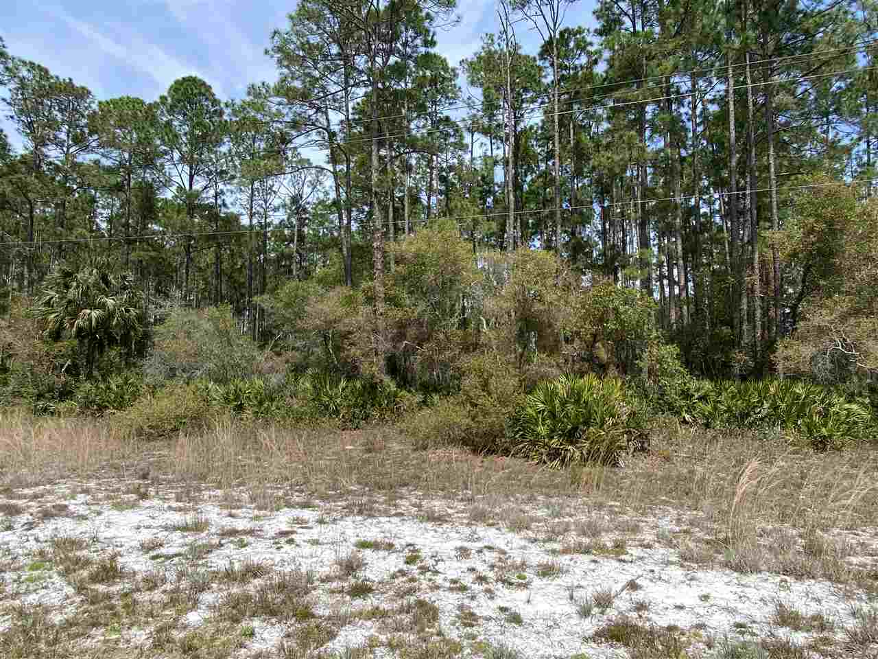 350 Georgetown Denver Road Georgetown, FL 32139 - Photo 4 of 5 Gallery Image 4