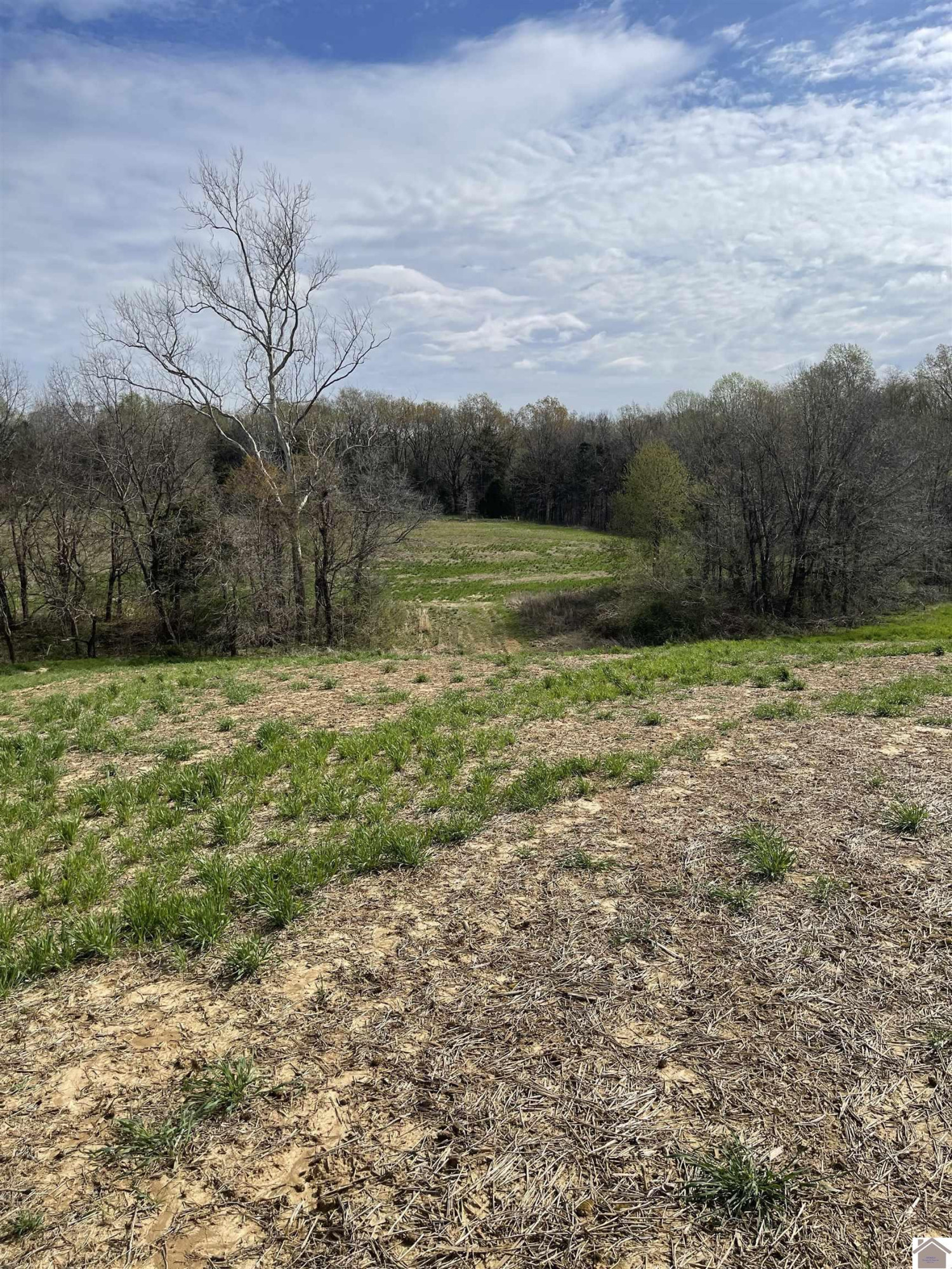 1955 West Slaughter Road Mayfield, KY 42066 - Photo 8 of 11 Photo 9