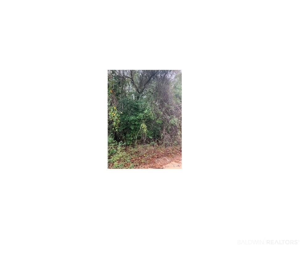 0 Carroll Avenue Eight Mile, AL 36613 - Photo 1 of 2