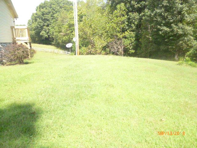 8711 Pinewood Road Lyles, TN 37098 - Photo 7 of 18 Side yard