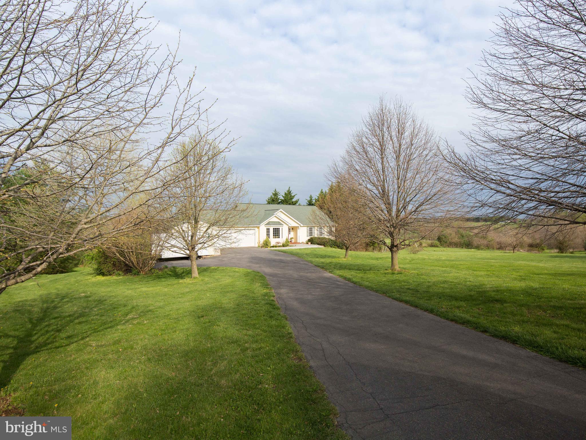 3653 Shepherds Mill Road Berryville, VA 22611 - Photo 2 of 40 Tree lined paved driveway
