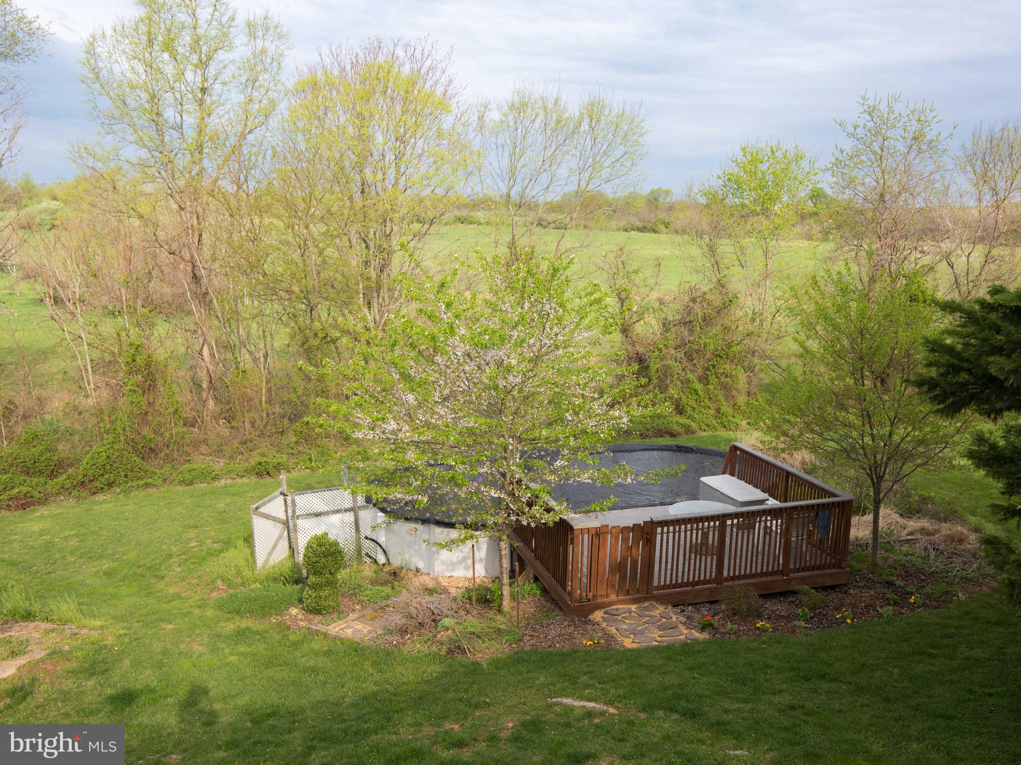 3653 Shepherds Mill Road Berryville, VA 22611 - Photo 11 of 40 Another view of property and pool