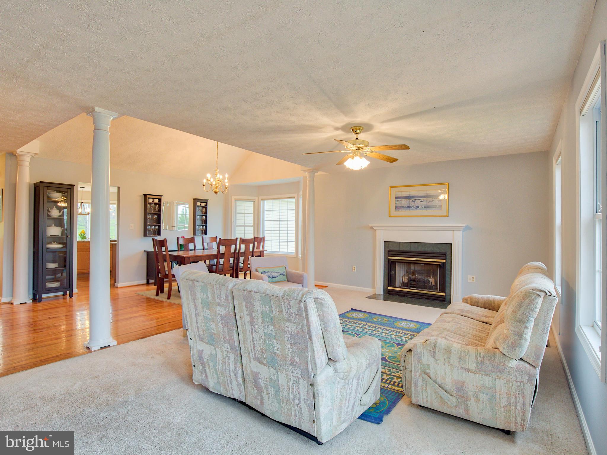 3653 Shepherds Mill Road Berryville, VA 22611 - Photo 18 of 40 Living room with fireplace