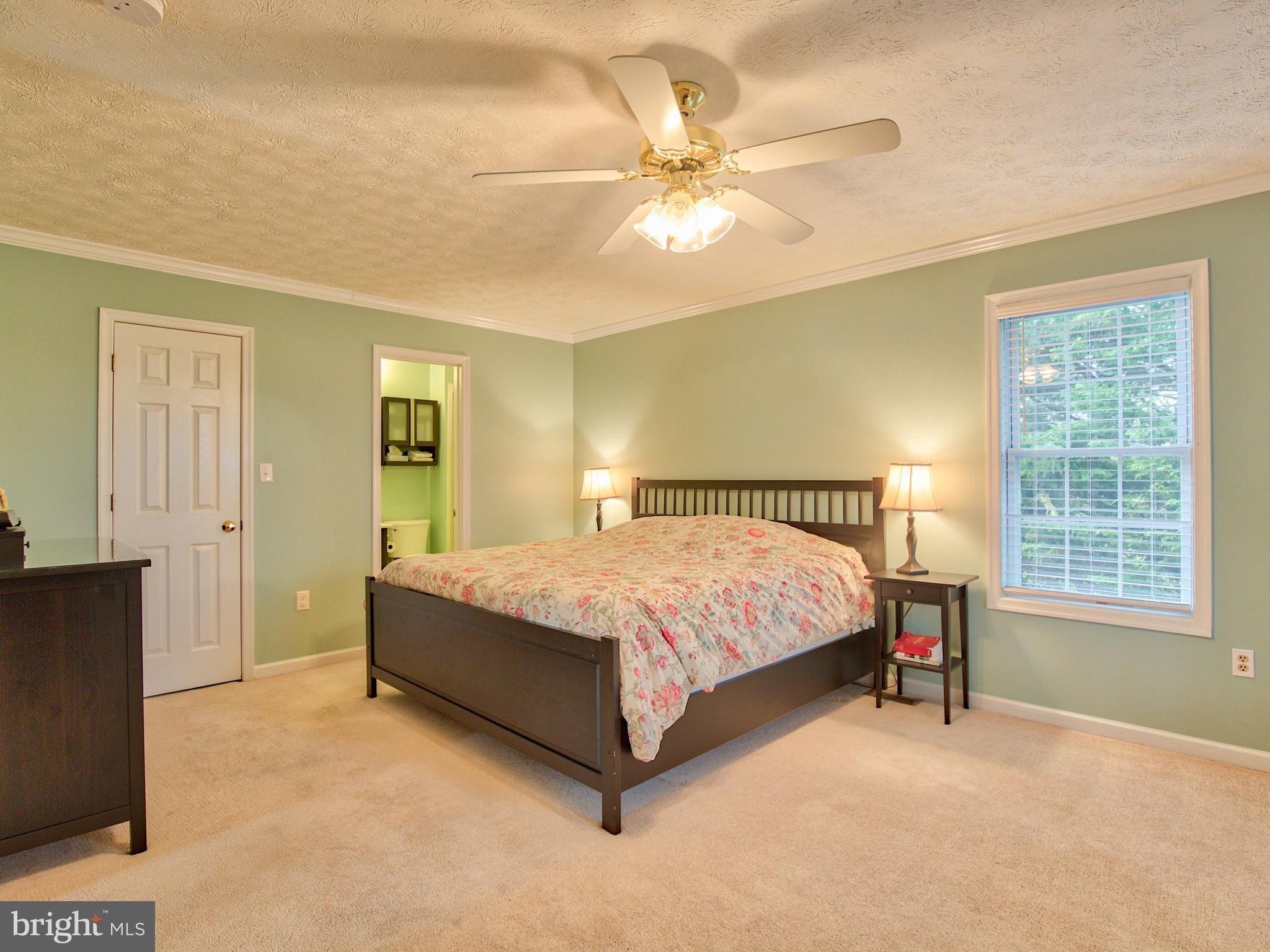 3653 Shepherds Mill Road Berryville, VA 22611 - Photo 27 of 40 Master bedroom w/ attached bath