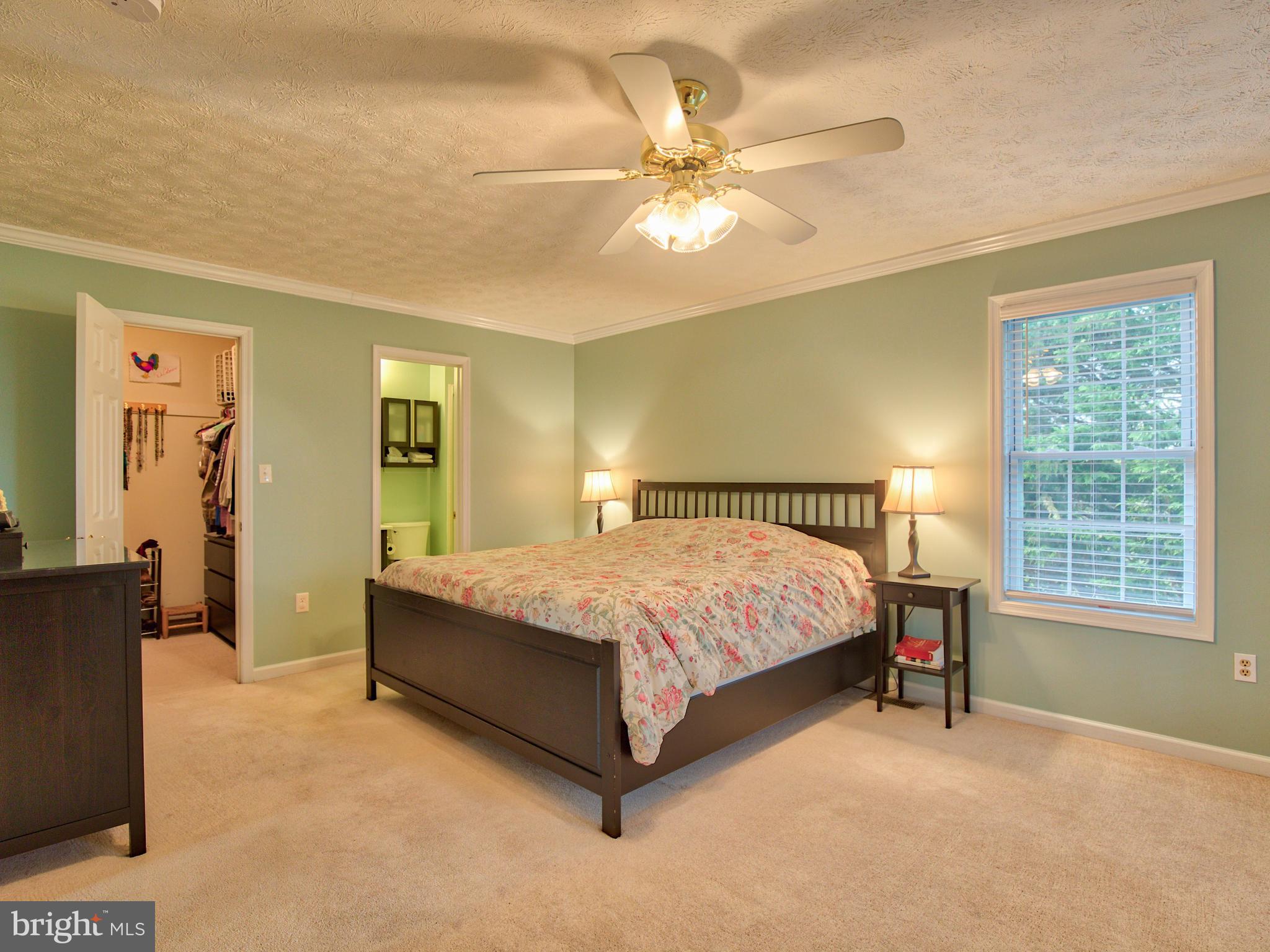 3653 Shepherds Mill Road Berryville, VA 22611 - Photo 28 of 40 Master features two closets - one is walk in